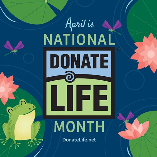 GLI’s Liver Action Network Supports Living Donor Day and Calls for Increased Awareness of Living Donation