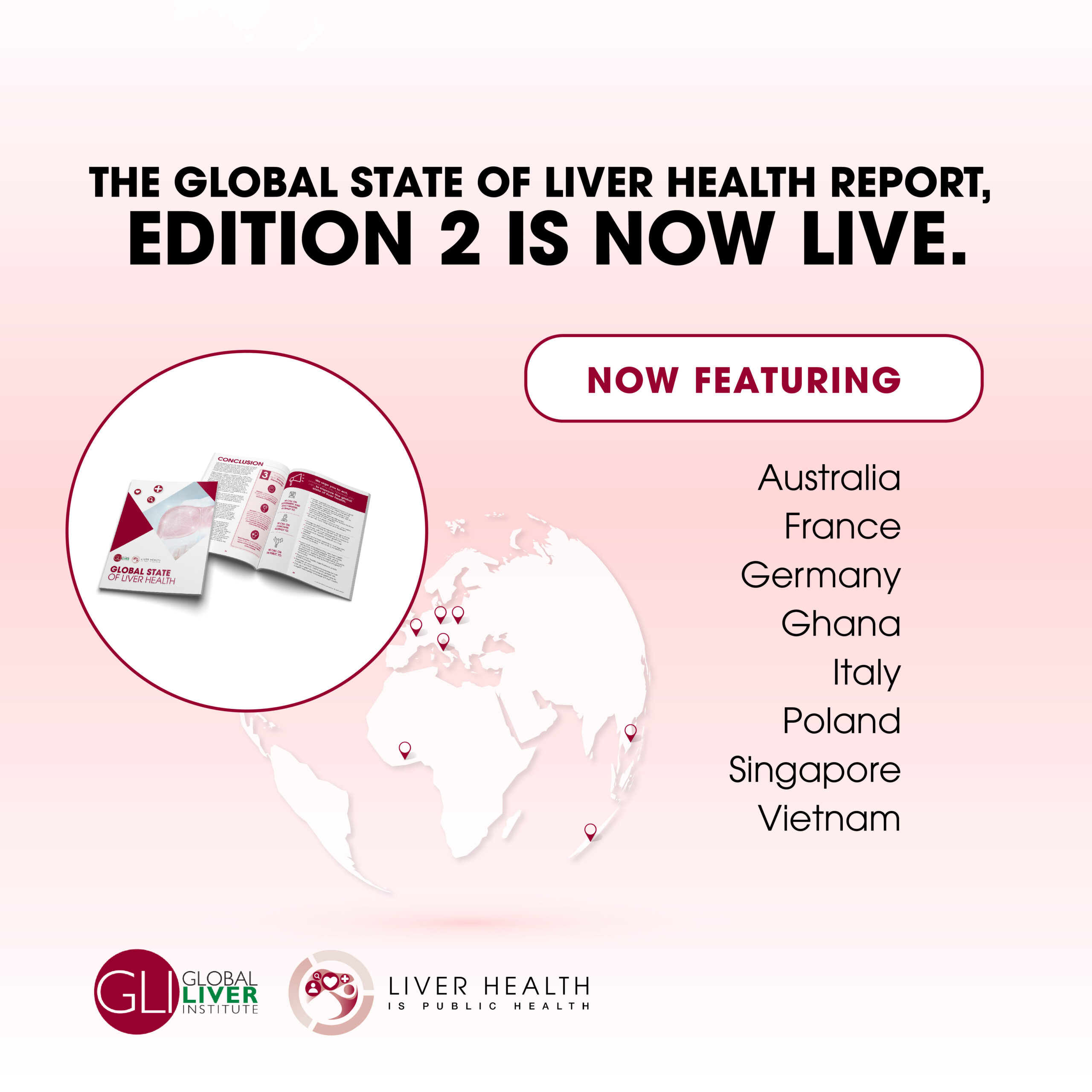 Global State Of Liver Health Report Edition 2 2024