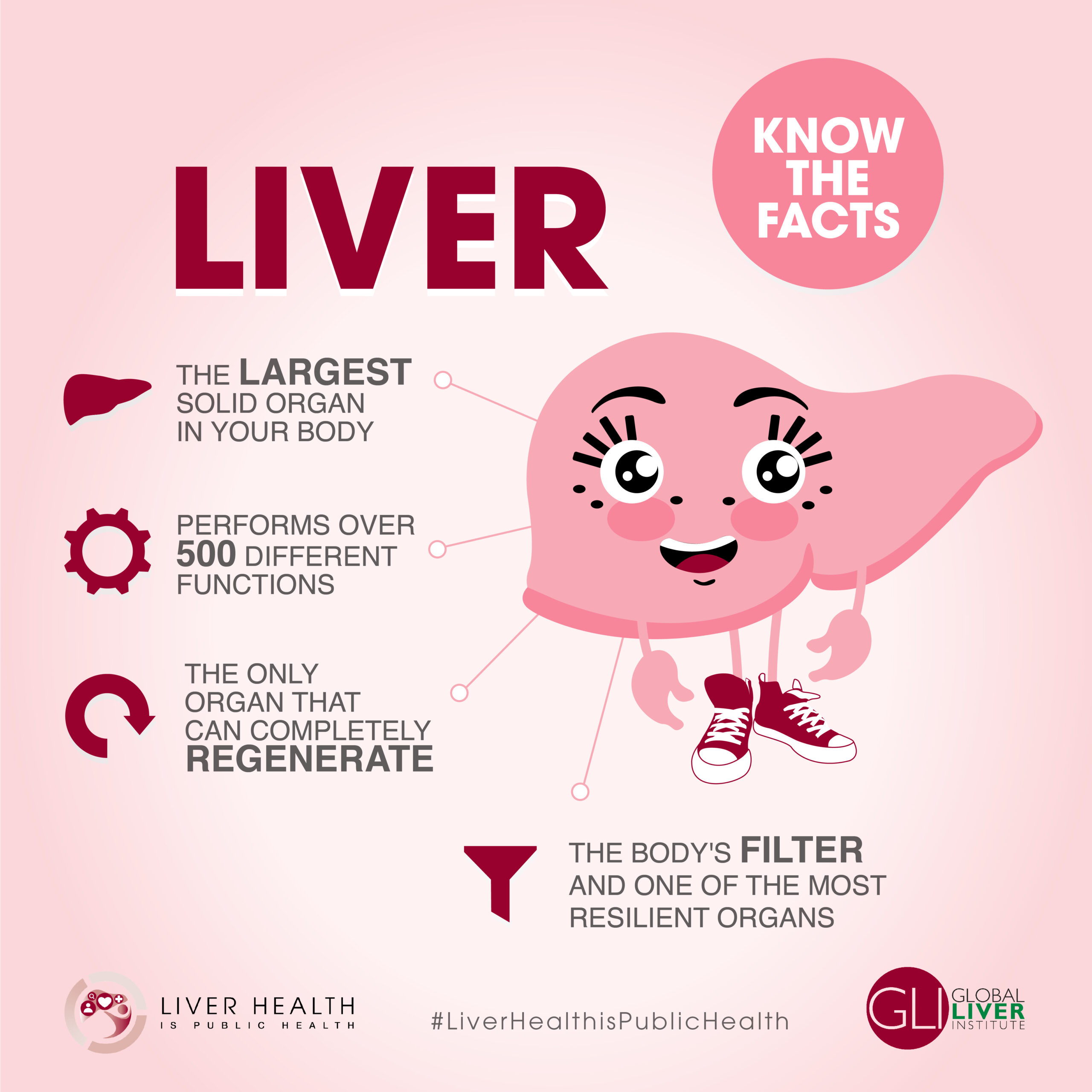 Liver Know The Facts