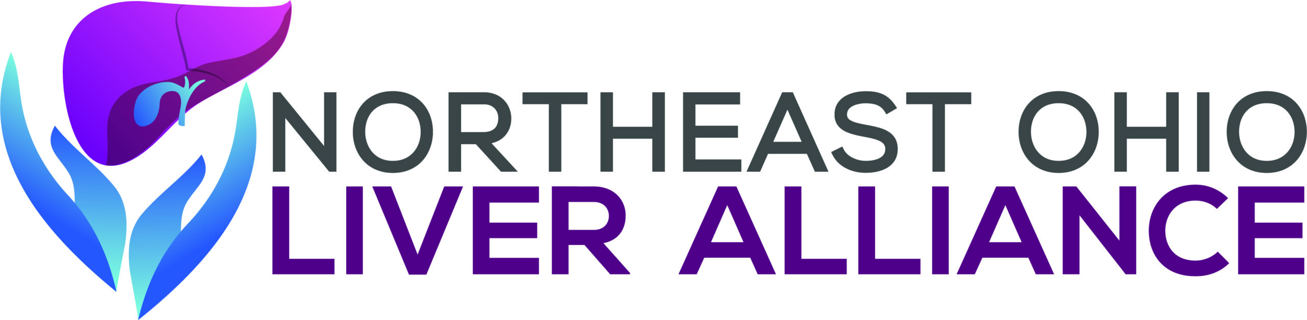Northeast Ohio Liver Alliance Logo Print 2024