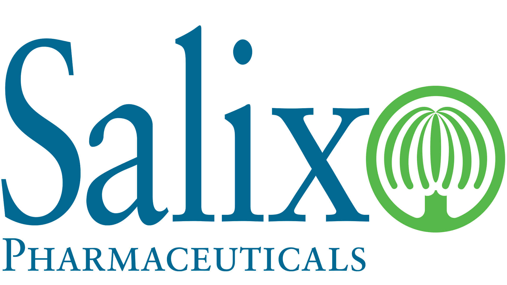 Salix-logo PNG 1920X1080